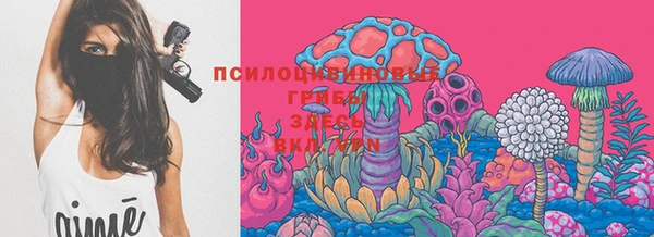 ГАЛЛЮЦИНОГЕННЫЕ ГРИБЫ Алзамай