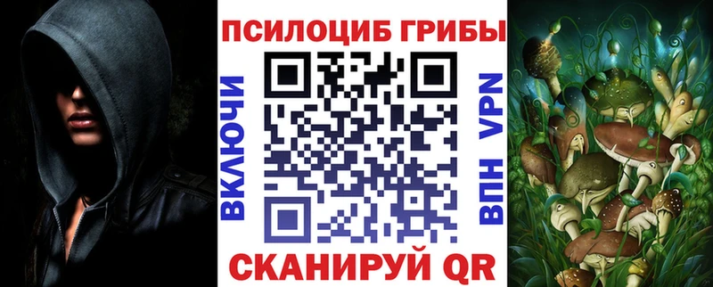 наркотики  Кропоткин  Псилоцибиновые грибы ЛСД 
