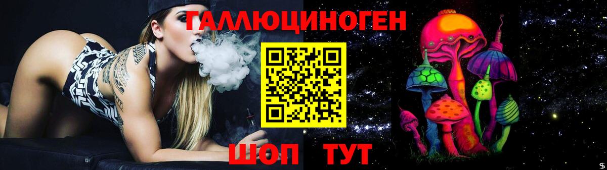 Кропоткин  Галлюциногенные грибы Psilocybine cubensis  Вход с VPN 
